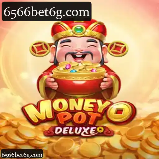 MoneyPotDELUXE